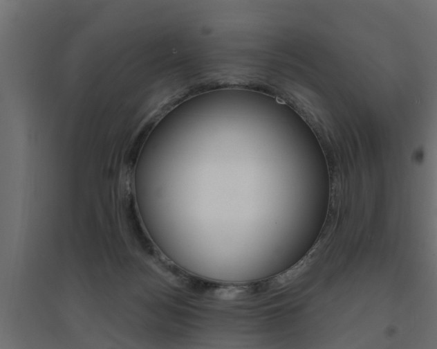 X0000094900172200711291032