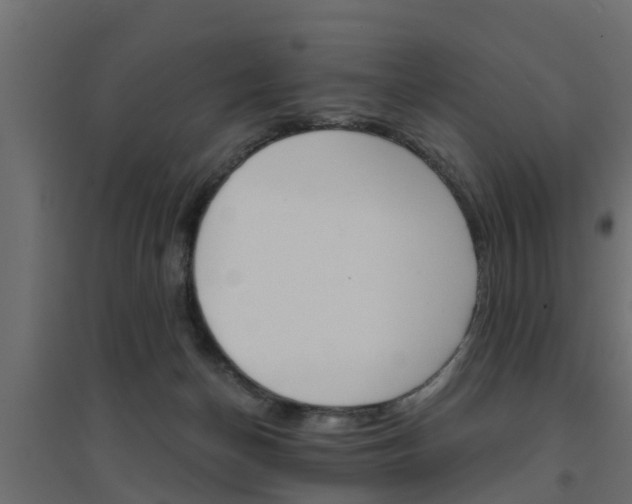 X0000094900174200711291032