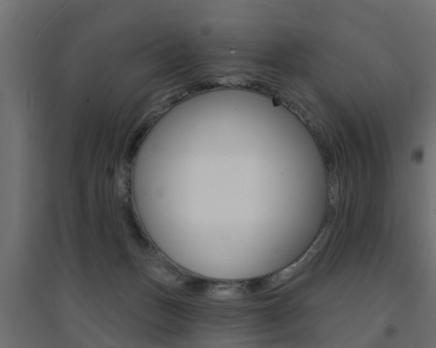 X0000094900175200711291032