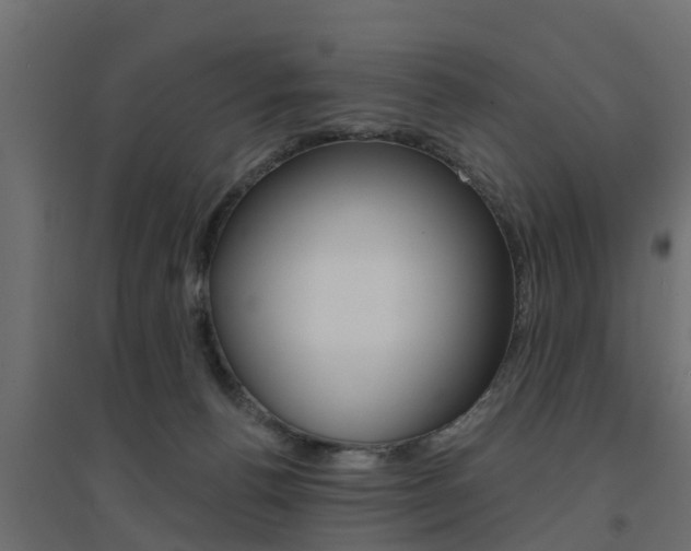 X0000094900176200711291032