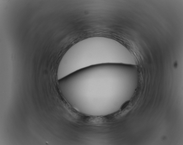 X0000094900181200711291032