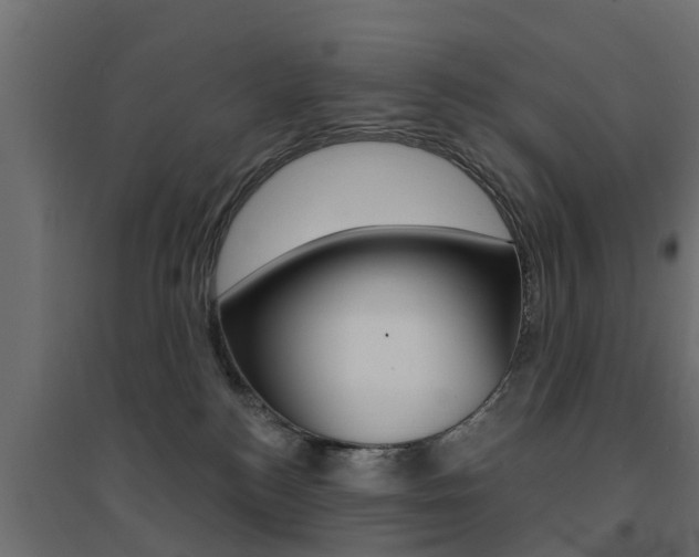X0000094900184200711291032