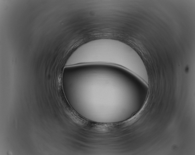 X0000094900190200711291032