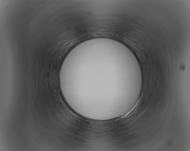X0000094900192200711291032