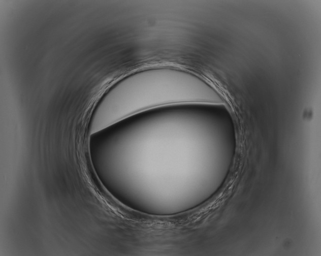 X0000094900193200711291031