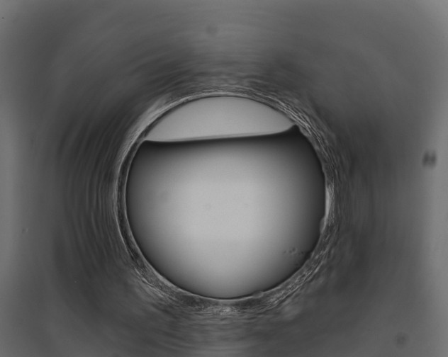 X0000094900195200711291031
