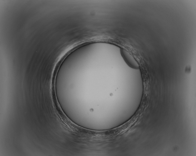 X0000094900196200711291031