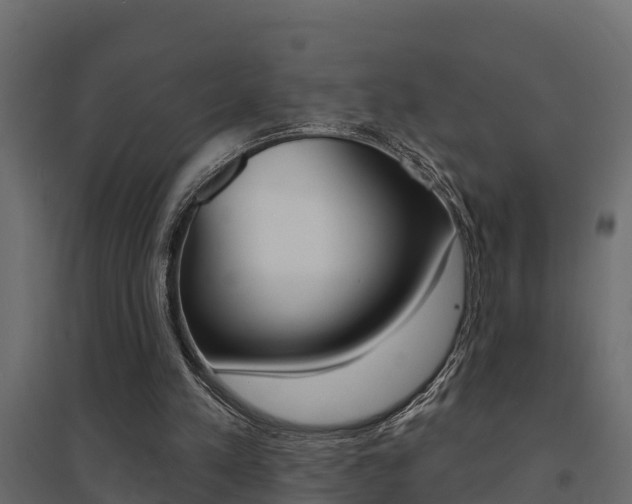X0000094900197200711291031