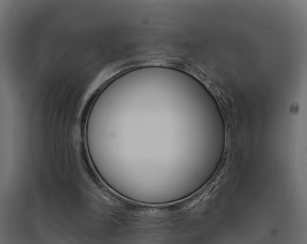 X0000094900198200711291031