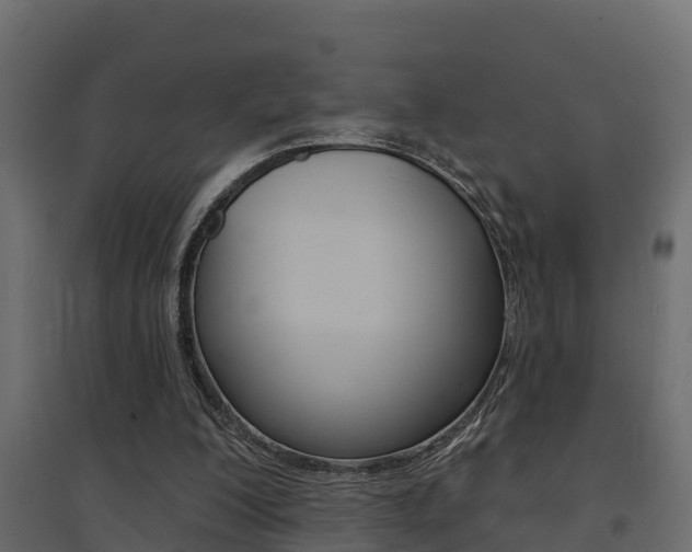 X0000094900200200711291031