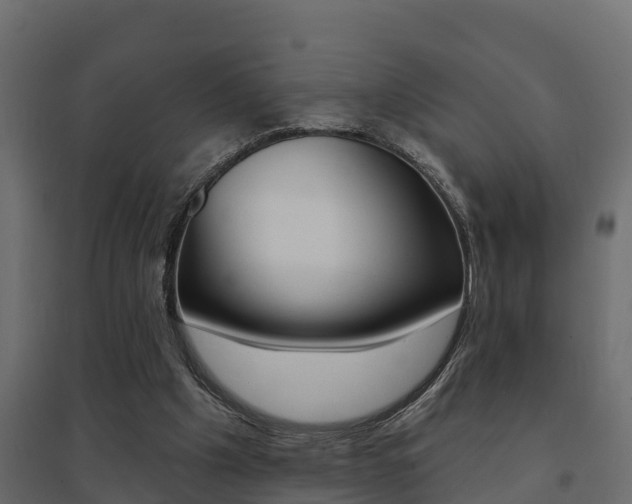 X0000094900201200711291031