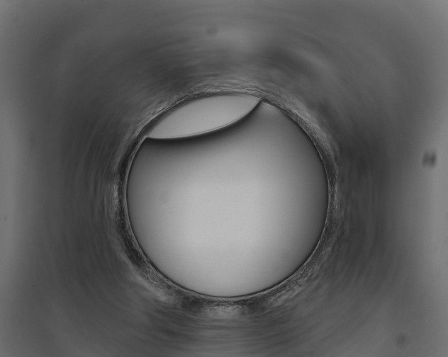 X0000094900202200711291031