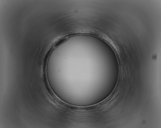 X0000094900203200711291031