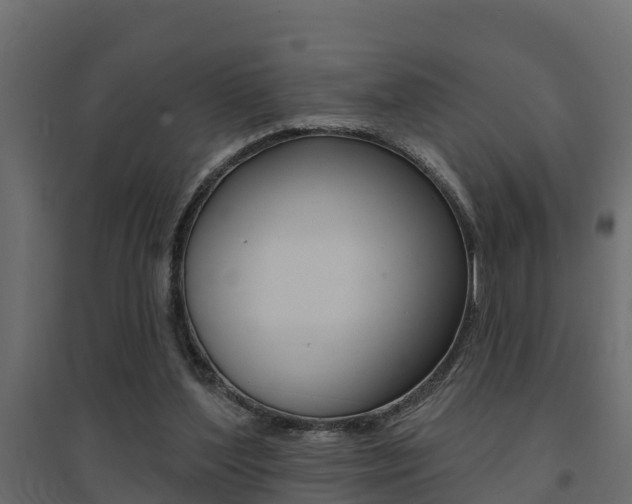 X0000094900204200711291031