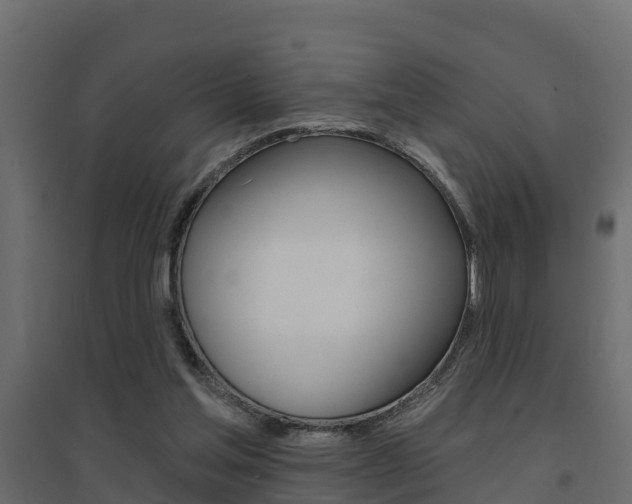 X0000094900205200711291031