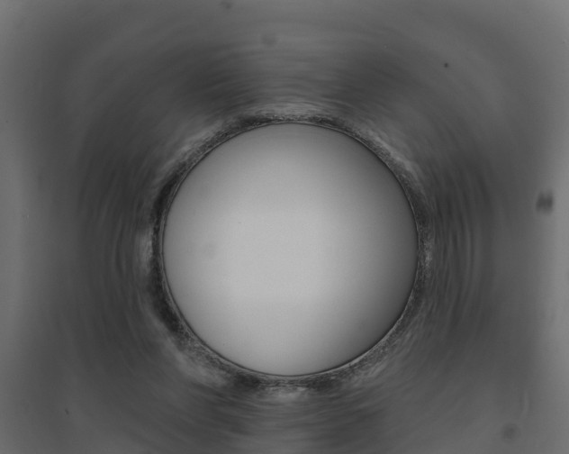 X0000094900206200711291031