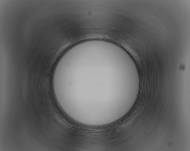 X0000094900207200711291031
