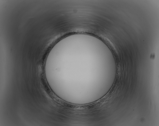 X0000094900208200711291031