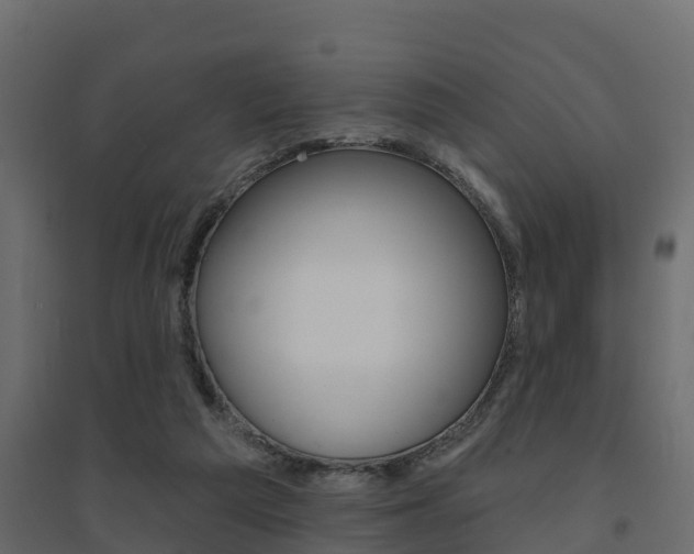 X0000094900209200711291031
