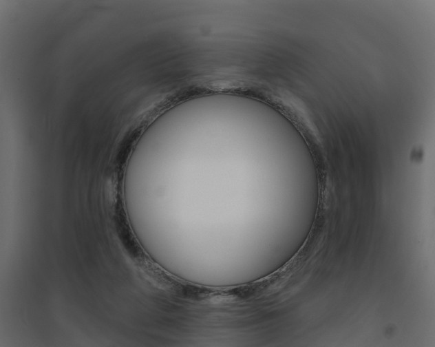 X0000094900210200711291031