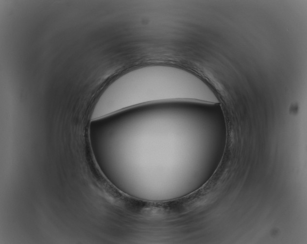 X0000094900211200711291031