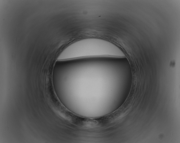 X0000094900215200711291031
