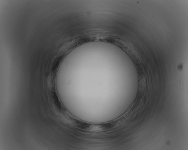 X0000094900218200711291031