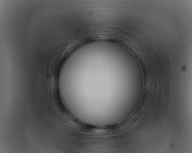 X0000094900220200711291031