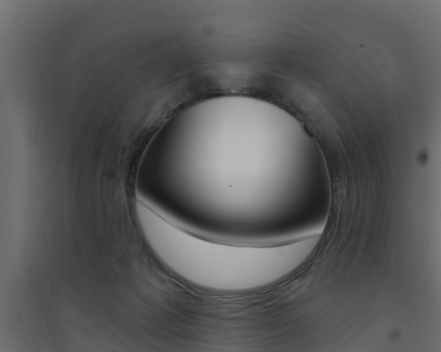 X0000094900221200711291031