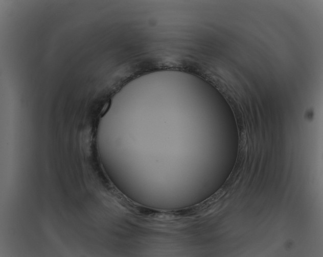 X0000094900223200711291031