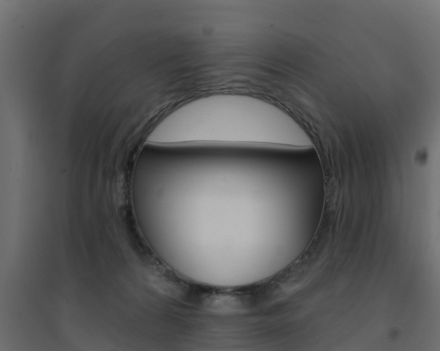 X0000094900224200711291031