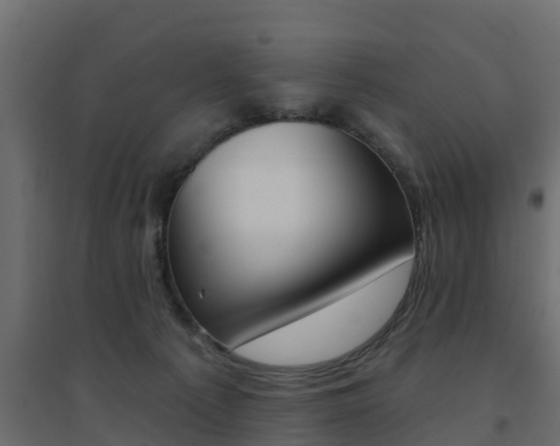 X0000094900225200711291031