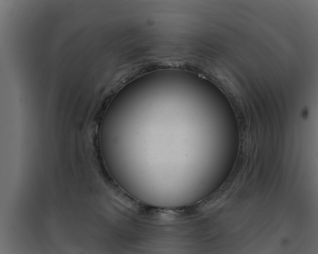 X0000094900229200711291031