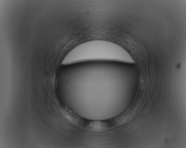 X0000094900231200711291031