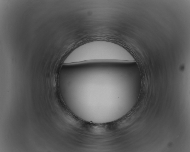 X0000094900232200711291031