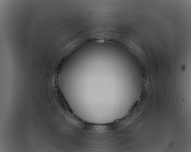 X0000094900233200711291031