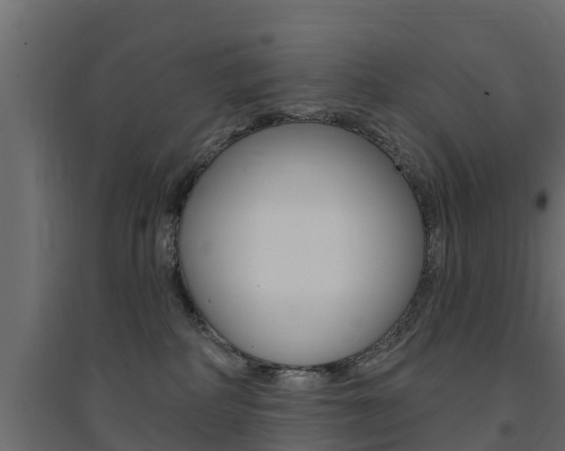 X0000094900234200711291031