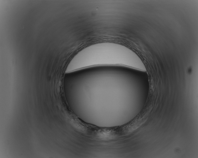 X0000094900235200711291031