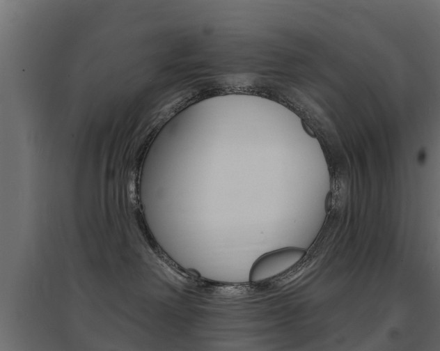 X0000094900238200711291031