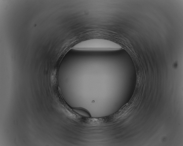 X0000094900239200711291031