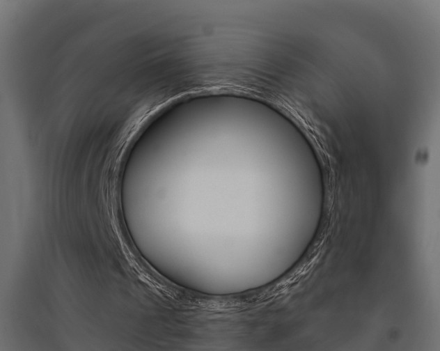 X0000094900241200711291029