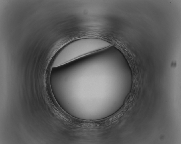 X0000094900242200711291029