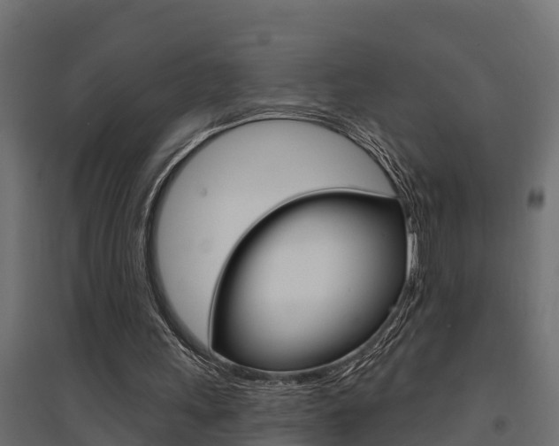 X0000094900243200711291030