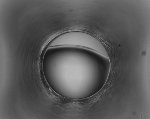 X0000094900244200711291030