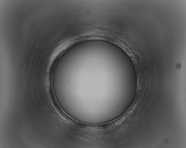 X0000094900245200711291030