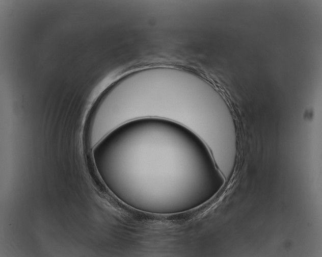 X0000094900246200711291030