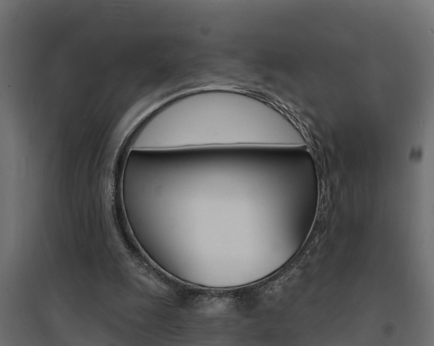 X0000094900247200711291030