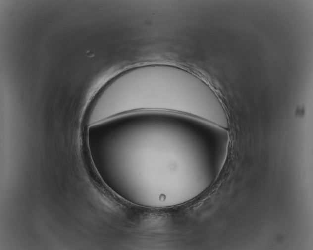 X0000094900248200711291030