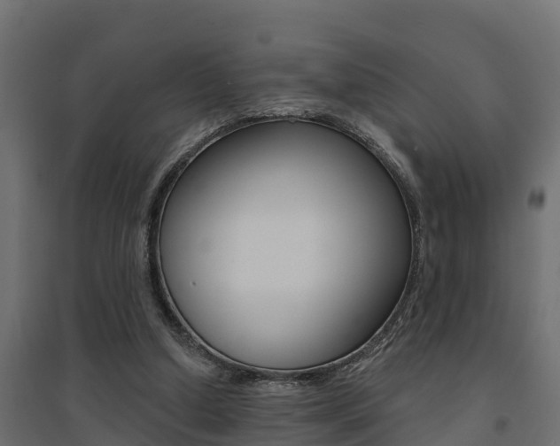 X0000094900250200711291030