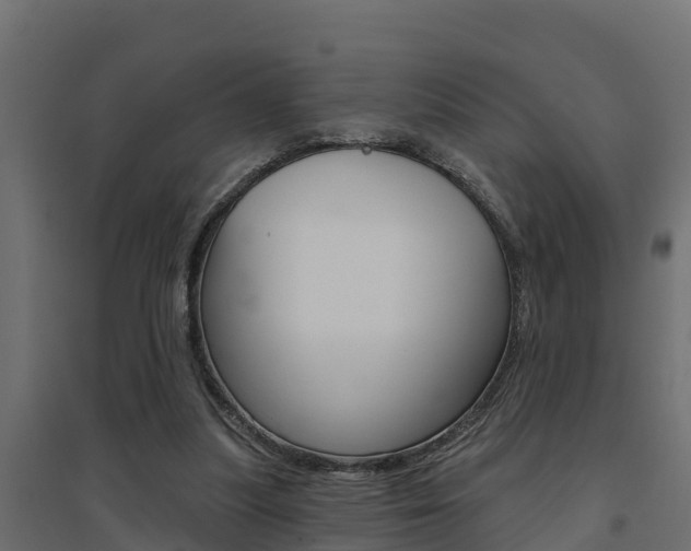 X0000094900251200711291030
